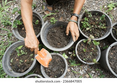 A pair of capable woman's hands skillfully shoveling rich soil with determination and expertise. - Shutterstock ID 2366847005