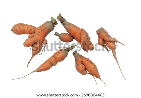 Pair of carrots with a unique shape that allows them to be a single entity as the concept of Ying Yang harmony