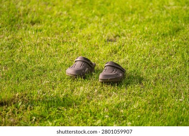 Pair of clogs on grass