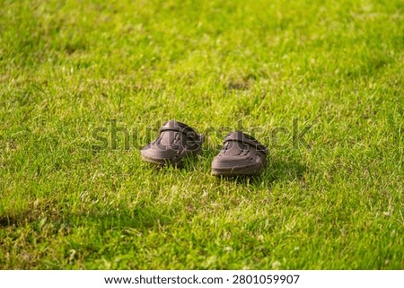 Pair of clogs on grass