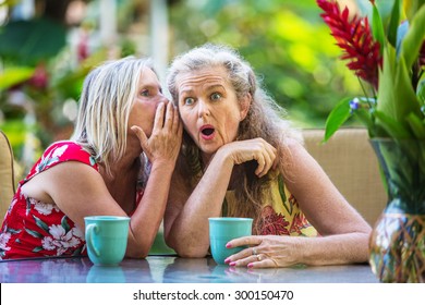 Gossiping Old Ladies Images Stock Photos Vectors Shutterstock