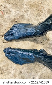 Pair Of Feet Covered In Black Healing Mud Standing On Sand. Top Down View. 