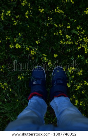 a pair of feets in between flower garden with beautiful yellow flowers