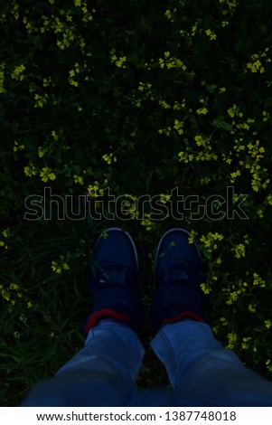 a pair of feets in between flower garden with beautiful yellow flowers