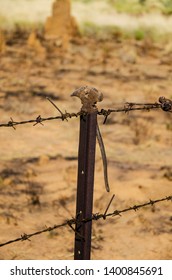 A Pair Of Fencing Pliers Hanging On A Barbed Wire Fence