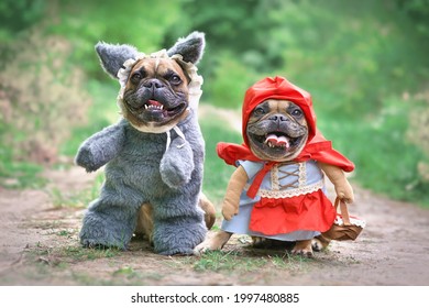 Pair of French Bulldog dogs dressed up as fairytale characters Little Red Riding Hood and Big Bad Wolf with full body costumes with fake arms standing in forest