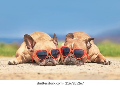 Pair Of French Bulldog Dogs Wearing Red Heart Shaped Sunglasses In Summer 