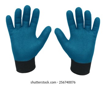 pair of gloves