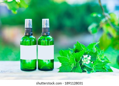 Download Green Glass Bottle Images Stock Photos Vectors Shutterstock