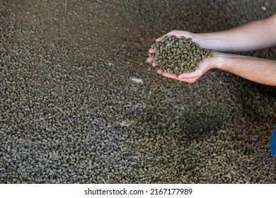 Pair Of Hands Holding Bunch Of Rapeseed Cake, Livestock Feed.