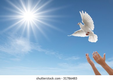 pair-hands-releasing-white-dove-260nw-31786483.jpg