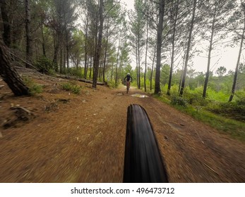 Pair Of Man On Mountain Bike In A Forest. Autumn Ride. View From Back Of Bicycle. Fish Eye Effect