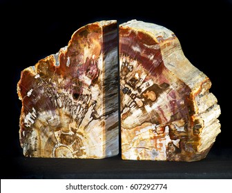A pair of petrified wood bookends from Madagascar, shot on a black background.