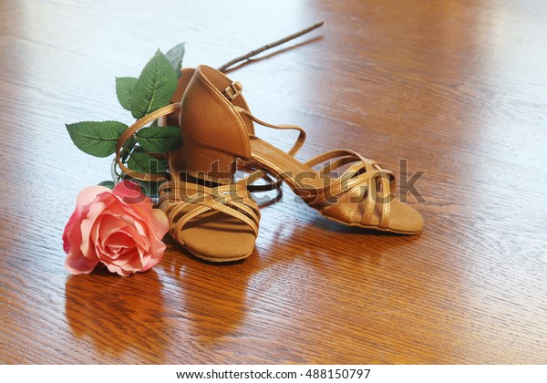Pair Professional Female Ballroom Dance Shoes Stock Image