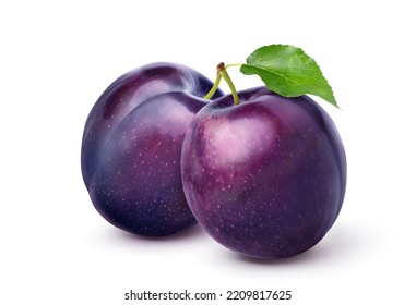 Pair of purple Plums with leaf isolated on white background. Clipping path.
