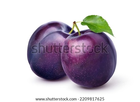 Pair of purple Plums with leaf isolated on white background. Clipping path.