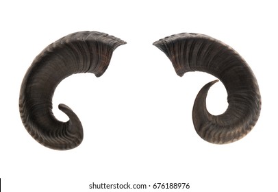 Pair of ram horns, isolated on white background 