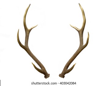 A Pair Of Red Deer Antlers On A White Background