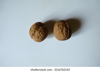 Pair Of Ripe Brown Rounded Wrinkly Fruits Of Persian Walnut