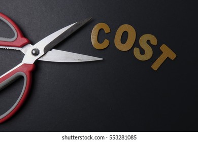 how much does a pair of scissors cost
