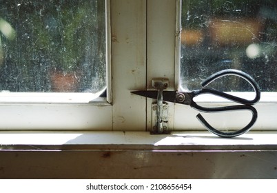 A pair of scissors and a window