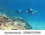 Pair of scuba divers exploring shallow rocky seascape in the clear water. Underwater photography from scuba diving. Landscape under the sea, travel photo. Ocean and swimming divers.