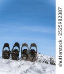 A pair of snowshoes resting in deep snow against a backdrop of mountain ranges. Snowshoeing is popular in regions like the Alps, Rockies, Scandinavia, and the Pyrenees.