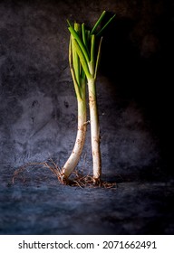 A pair of calÃ§ots, Spanish green onion