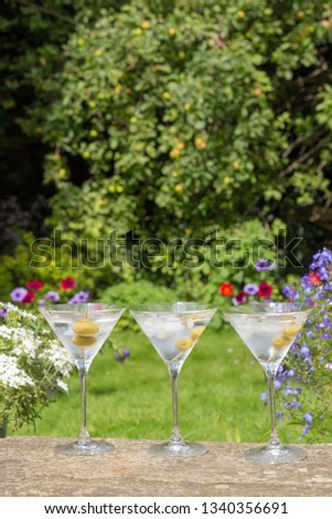 Pair of summer drinks outside in a green landscape