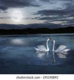 pair of swans at night during the full moonlight