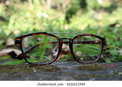 A Pair Of Tortoise Shell Glasses.