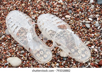 Pair Of Transparent Retro Jelly Sandals On Sandy Beach