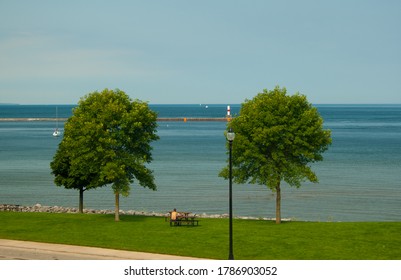 Pair of Trees on Little Traverse Bay - Shutterstock ID 1786903052