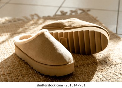 A pair of Uggs slippers on a jute rug.