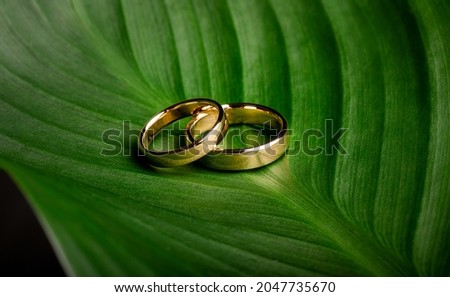 a pair of wedding rings on green leaves