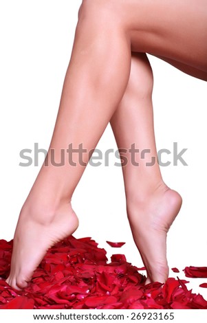 Pair of well-groomed feet against from petals of red roses, isolated on a white background, please see some of my other parts of a body images: