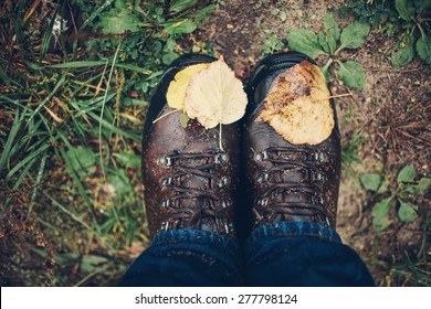 Pair of wet brown walking boots in grass