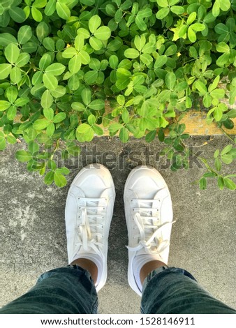 A pair of white sneakers and a bed of small green plants
