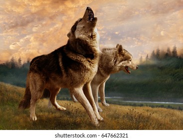 A Pair Of Wolves