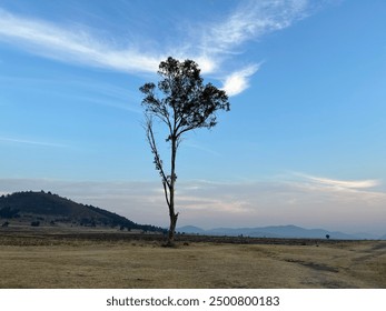 paisaje en zona rural , naturaleza