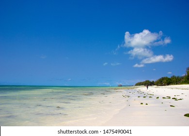 Paje Beach Zanzibar Tanzania Africa Stock Photo 1475490041 | Shutterstock