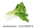 Pak choi cabbage isolated on a white background