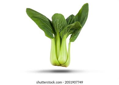 Pak choi (shanghai bok choy) chinese vegetable isloated on a white background