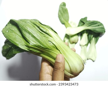 Pakcoy or bok choy (Brassica rapa Chinensis Group; mustard greens or Brassicaceae). green vegetable for diet food. pak coy isolated in white background. hand holds pakcoy. blur 