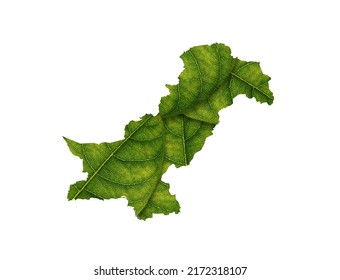 Pakistan map made of green leaves, concept ecology Map green leaf on white background