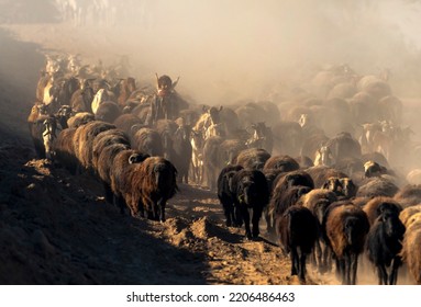 Pakistan , Multan - October 22, 2021  shepherds from Afghanistan travels to cotton areas of Pakistan  to herd their animals in winter season  , shepherds are traveling  with flock of sheep in dust  - Shutterstock ID 2206486463