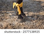 Pakistani horse feet A farrier trimming a horse