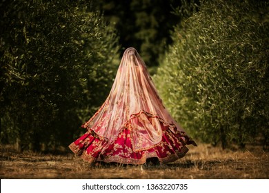 Pakistani Indian Bridal Showing Wedding Lengha