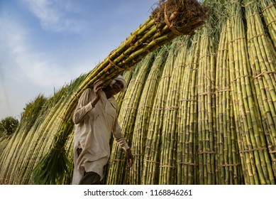 2,554 Farmer pakistan Images, Stock Photos & Vectors | Shutterstock