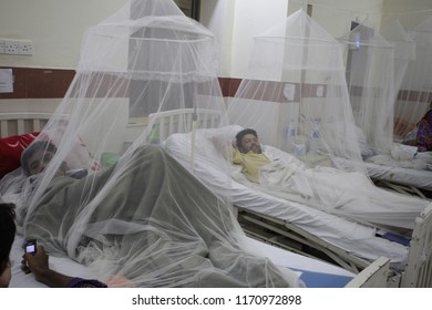 Pakistan-Lahore, Patients, Who Were Suffering From Dengue Fever, Lie Under Mosquito Nets At The Sir Ganga Ram Hospital In Lahore On September 17, 2011.